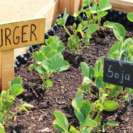 Vom Weltacker auf meinen Teller – Wie Ernährung die Welt bewegt